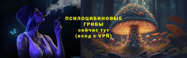 тгк Алексин