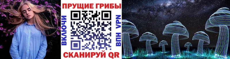 Псилоцибиновые грибы мицелий  Ангарск 